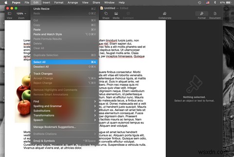 Macで「すべてを選択」する方法|ショートカット・メニュー・ドラッグ操作を徹底解説