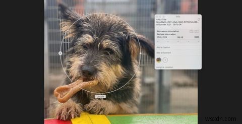 iPhone・Macの「人物」アルバムに人を追加・削除する方法