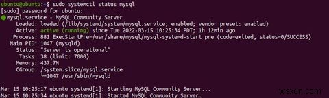 UbuntuにMySQLをインストールして設定する方法【初心者向け完全ガイド】
