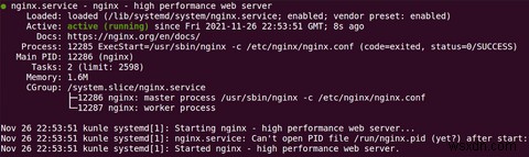 UbuntuにNginxをインストールして設定する完全ガイド