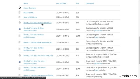 Ubuntu 21.04「Hirsute Hippo」徹底解説――新機能、インストール手順、そして第一印象