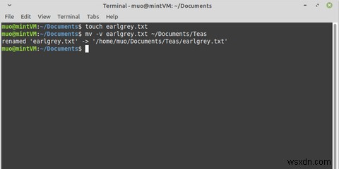 【Linux入門】mvコマンドでファイルを移動する方法をわかりやすく解説