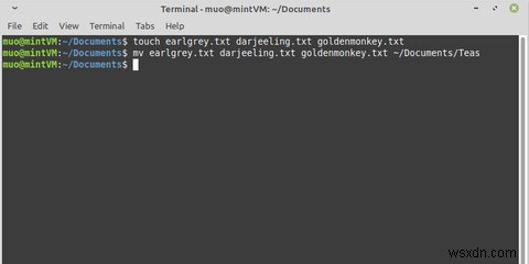 【Linux入門】mvコマンドでファイルを移動する方法をわかりやすく解説