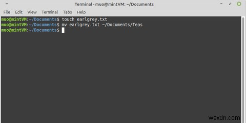 【Linux入門】mvコマンドでファイルを移動する方法をわかりやすく解説