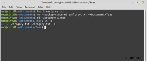 【Linux入門】mvコマンドでファイルを移動する方法をわかりやすく解説