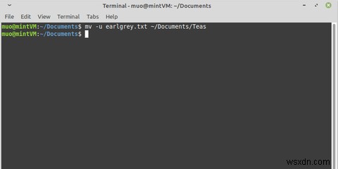 【Linux入門】mvコマンドでファイルを移動する方法をわかりやすく解説