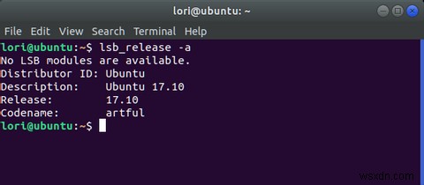 以前のバージョンからUbuntu 17.10へアップグレードする方法を徹底解説