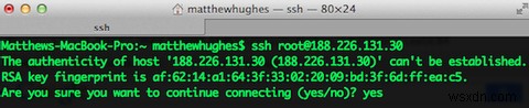 SSHしか使えないWebホスティングでも大丈夫！LinuxコマンドラインでGhostとWordPressを簡単にインストールする方法