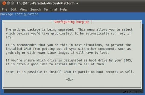 BURGを使ってGRUBブートローダーをおしゃれにカスタマイズする方法【Ubuntu】