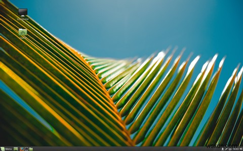 Linux Mintに恋をする10の理由｜初心者におすすめの理由とは？