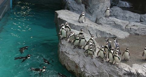 Linuxは本当に信頼できる？無料OSの安全性とオープンソースの仕組みを徹底解説