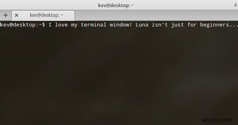 美しく使いやすいLinuxディストリビューションを探しているなら「Elementary OS Luna」を試してみよう