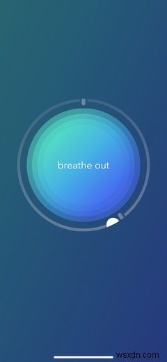 Calm(カーム)の無料版とプレミアム版を徹底比較!料金で何が手に入る?