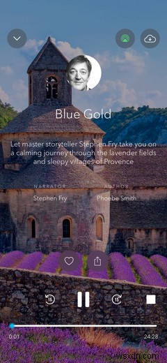 Calm(カーム)の無料版とプレミアム版を徹底比較!料金で何が手に入る?