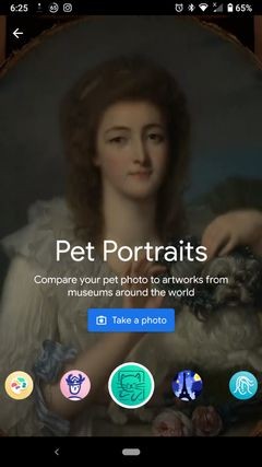 Google Arts&Cultureアプリの「ペットポートレート」で、愛ペットにそっくりな名画を見つけよう