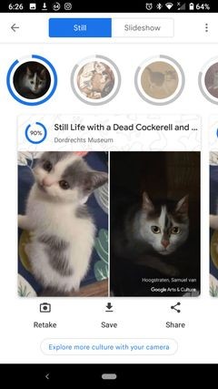 Google Arts&Cultureアプリの「ペットポートレート」で、愛ペットにそっくりな名画を見つけよう