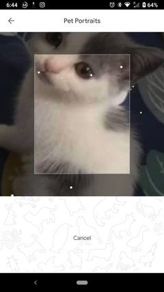 Google Arts&Cultureアプリの「ペットポートレート」で、愛ペットにそっくりな名画を見つけよう