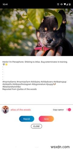 Android・iPhone対応!おすすめInstagramリポスト(再投稿)アプリ5選