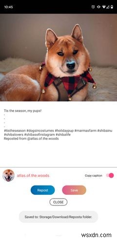 Android・iPhone対応!おすすめInstagramリポスト(再投稿)アプリ5選