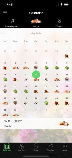 庭づくり初心者必見!Android・iPhoneで使えるおすすめ園芸アプリ7選