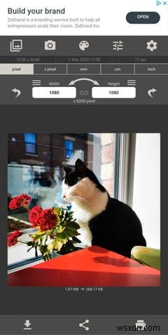 画像サイズを縮小・リサイズできるおすすめAndroidアプリ5選
