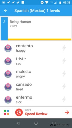 スペイン語を速くマスターするためのおすすめアプリ8選