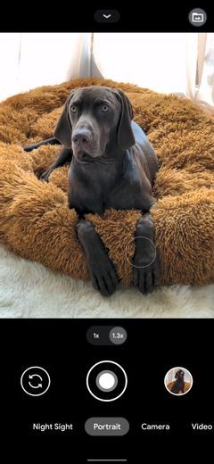 Google Pixelで最高の自撮り写真を撮るための6つの便利機能