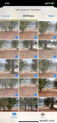 iPhoneで写真を整理する方法｜日付・人物・場所・アルバム別に徹底解説