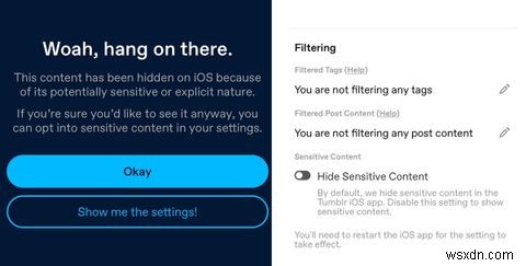 TumblrのiOSアプリ、AppleのApp Storeガイドラインにどう対応しているのか