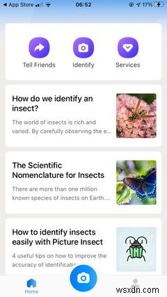 iPhoneで虫をすぐに識別!使える昆虫識別アプリ5選