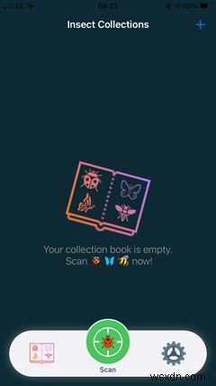 iPhoneで虫をすぐに識別!使える昆虫識別アプリ5選