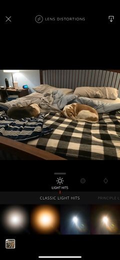 iPhoneで使えるおすすめ無料写真編集アプリ9選