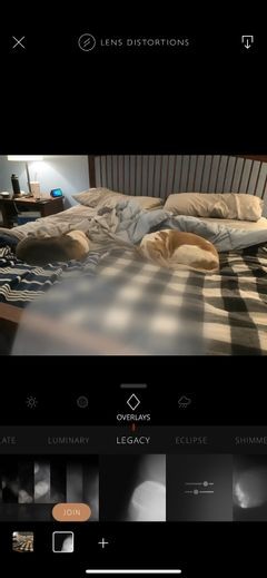 iPhoneで使えるおすすめ無料写真編集アプリ9選