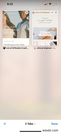 iPhone・iPadのSafariの使い方入門｜初心者向け基本操作ガイド