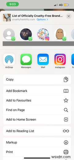 iPhone・iPadのSafariの使い方入門｜初心者向け基本操作ガイド