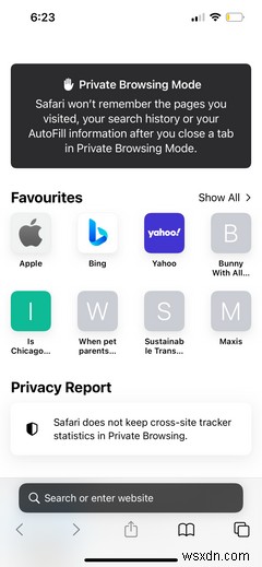 iPhone・iPadのSafariの使い方入門｜初心者向け基本操作ガイド