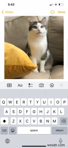 iPhoneの「メモ」アプリ完全ガイド｜初心者でも今日から使える基本操作まとめ