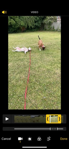 iPhoneでスローモーション動画を撮影・編集する方法【初心者向け完全ガイド】