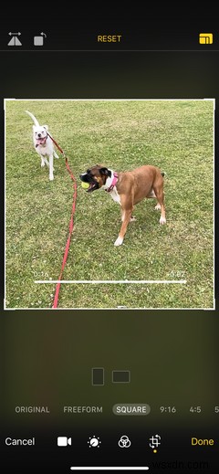 iPhoneでスローモーション動画を撮影・編集する方法【初心者向け完全ガイド】