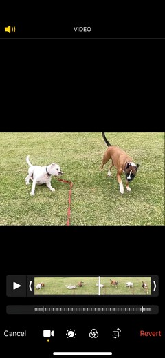 iPhoneでスローモーション動画を撮影・編集する方法【初心者向け完全ガイド】