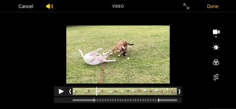 iPhoneでスローモーション動画を撮影・編集する方法【初心者向け完全ガイド】