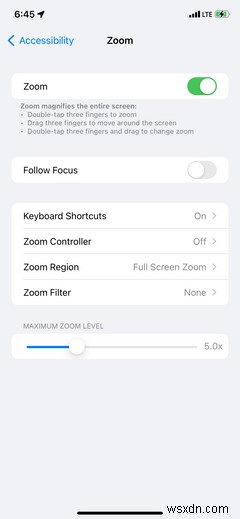 iPhone・iPadの「ズーム」機能を使いこなす完全ガイド