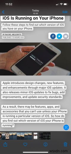 iPhoneのライブテキスト機能とは?有効化の方法と使い方を徹底解説