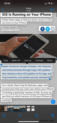 iPhoneのライブテキスト機能とは?有効化の方法と使い方を徹底解説