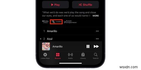 Apple Musicでロスレスオーディオを聴く方法｜対応デバイスと設定手順を徹底解説