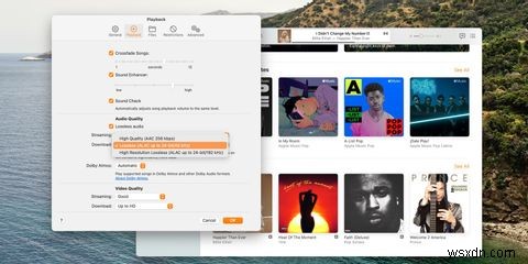 Apple Musicでロスレスオーディオを聴く方法｜対応デバイスと設定手順を徹底解説