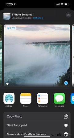 iPhoneで写真を共有するときに位置情報を消す方法【プライバシー保護】
