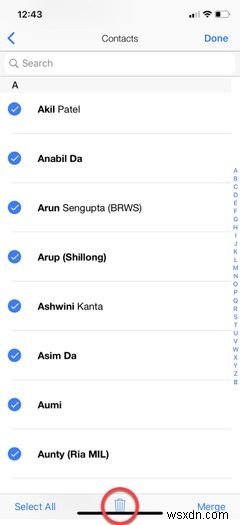 iPhoneで複数の連絡先を一括削除する3つの方法【Mac・iCloud・アプリ】
