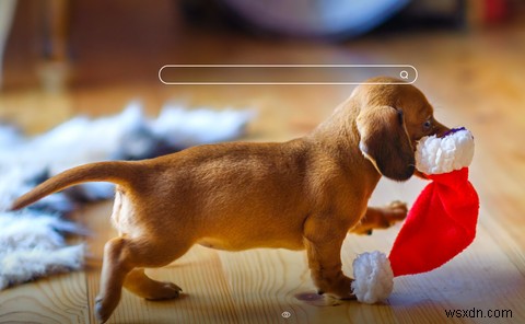 クリスマス気分を盛り上げる!おすすめChrome拡張機能12選