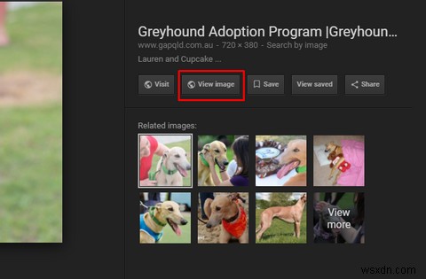 Google検索を劇的に快適にする!おすすめChrome拡張機能12選